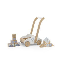 CARRITO DE BLOQUES...