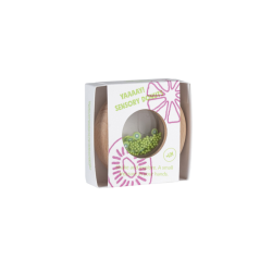 SENSORY DONUT KIWIS