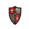 KNIGHT SHIELD