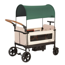 WAGON TRANSPORTE VERDE...