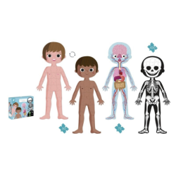 PUZZLE EDUCATIVO EL CUERPO...