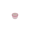 CAJA FRUTA CAMPUS FAIRY GARDEN
